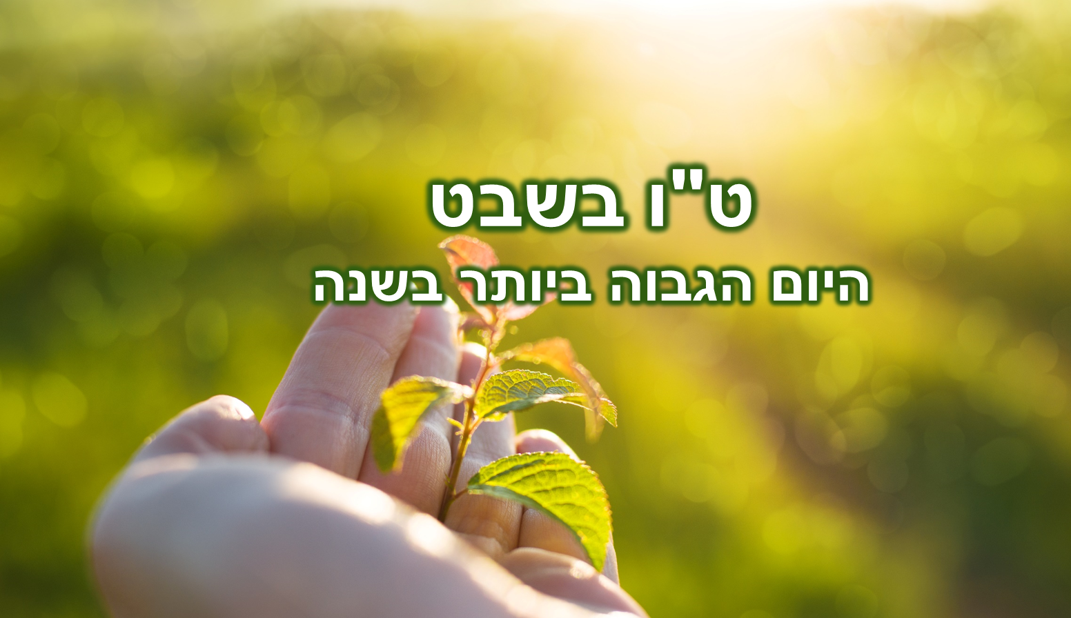 סדנת סוד ט"ו בשבט – הסדנה הכי חשובה בשנה + מסר ממיכאל אסדו